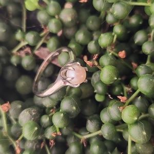 ANTIQUE pearl ring